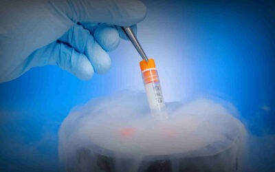 Cell Preservation
