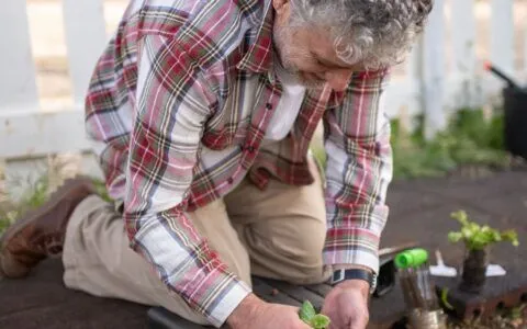 The Truth About "Slipped Discs" — And What to Do About Low Back Pain